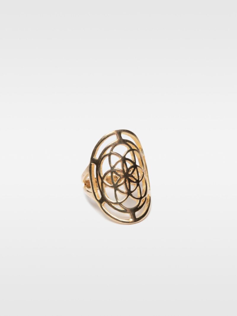 Bague "Graine de Vie"