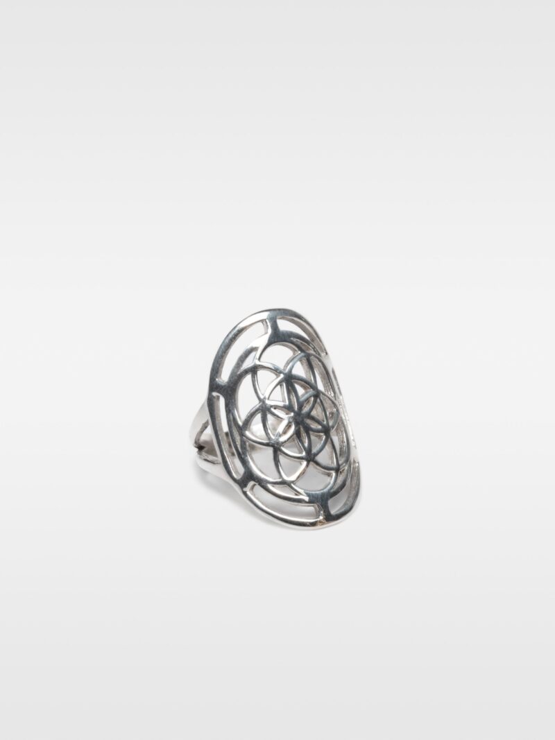 Bague "Graine de Vie"